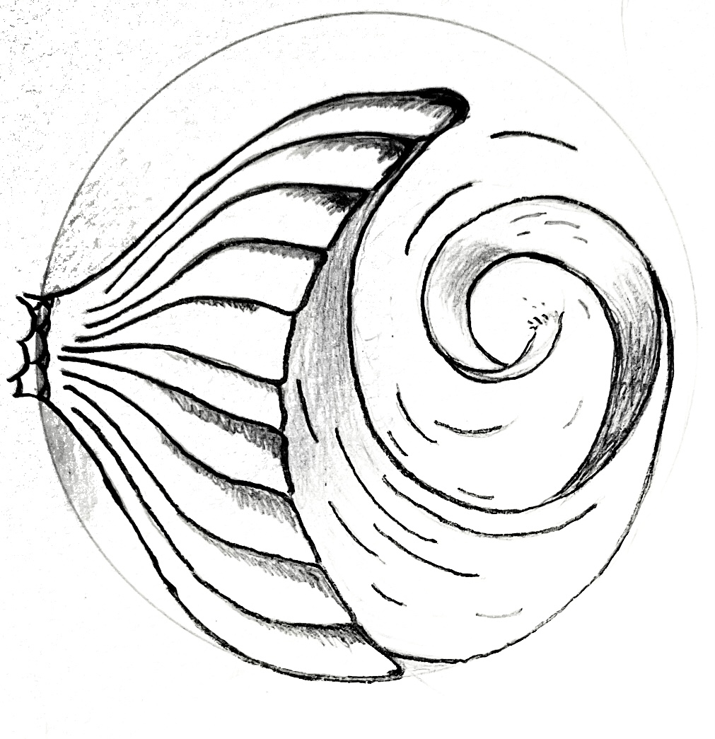 Logo Feldenkrais-Sthoer